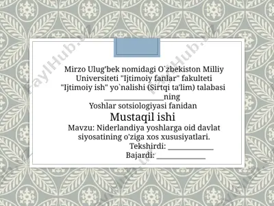 niderlandiya yoshlarga oid davlat siyosatining o'ziga xos xususiyatlari — PPTX