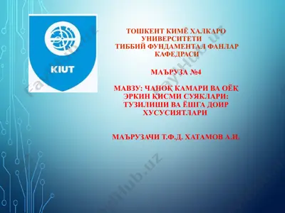чаноқ суяги — PPT