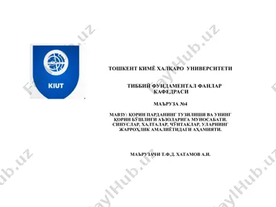 қорин парда — PPT