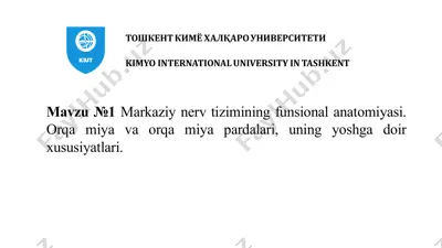 nerv tizimi funksional anatomiyasi — PPTX