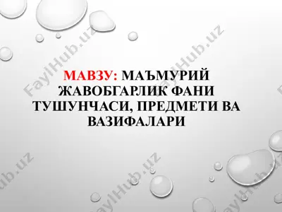 ma'muriy javobgarlik fanining tushunchasi, predmeti va vazifalari — PPT
