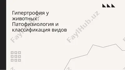гипертрофия животных: патофизиология и классификация видов — PPTX