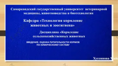 кормление сельскохозяйственных животных — PPT