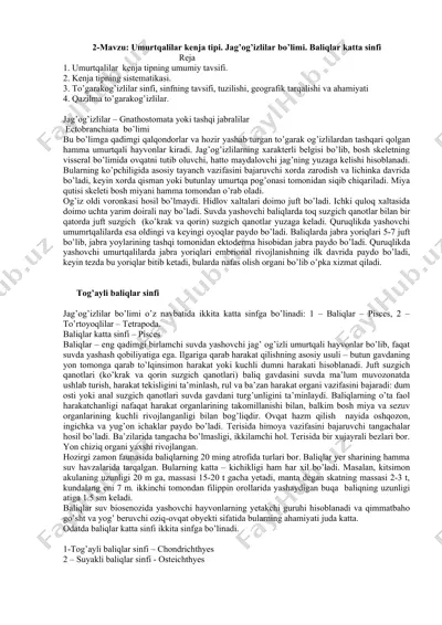 umurtqalilar kenja tipi. jag’og’izlilar bo’limi. baliqlar katta sinfi — DOC