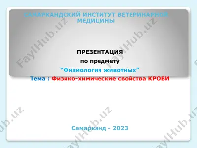 презентация по предмету "физиология животных" — PPTX
