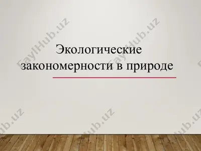 экологические закономерности в природе — PPT