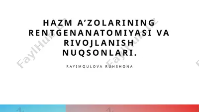 hazma’zolarining rentgenanatomiyasi va rivojlanish nuqsonlari — PPTX