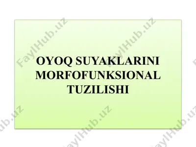 oyoq suyaklarini morfofunktsional tuzilishi — PPTX