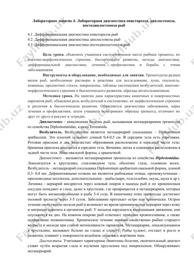 лабораторное занятие 4. лабораторная диагностика описторхоза, диплостомоза, постодиплостомоза рыб — DOCX