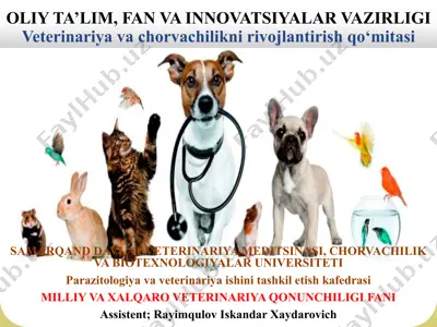 "veterinariyaning asosiy tushunchalari" — PPTX