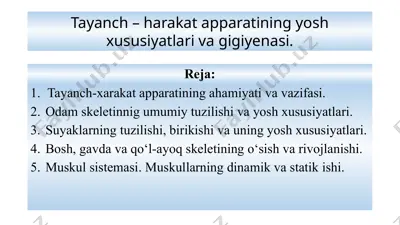 tayanch-harakat apparati — PPTX