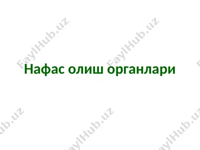 нафасолишорганлари — PPTX