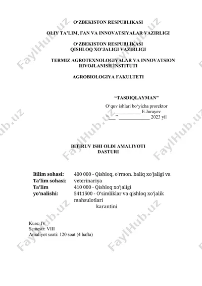 bitiruv ishi oldi amaliyoti dasturi — DOCX