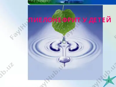 пиелонефрит у детей — PPT