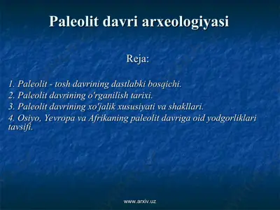 paleolit davri arxeologiyasi — PPT