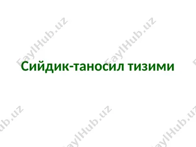 сийдик-таносилтизими — PPTX