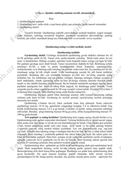 qushlar sinfining umumiy tavsifi, sistematikasi — DOC