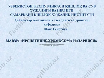 ирсиятнинг хромосома назарияси — PPT