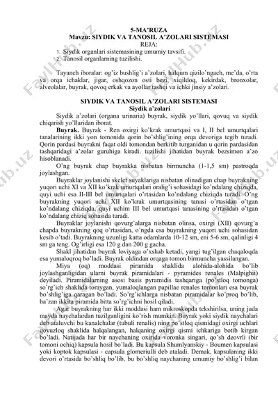 siydik va tanosil a'zolari sistema — DOC