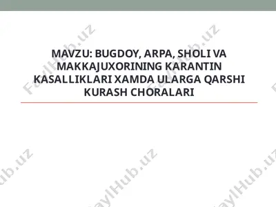 bug'doy, arpa, sholi va makkajuxori kasalliklari — PPTX