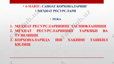 mehnat resurslari — PPTX