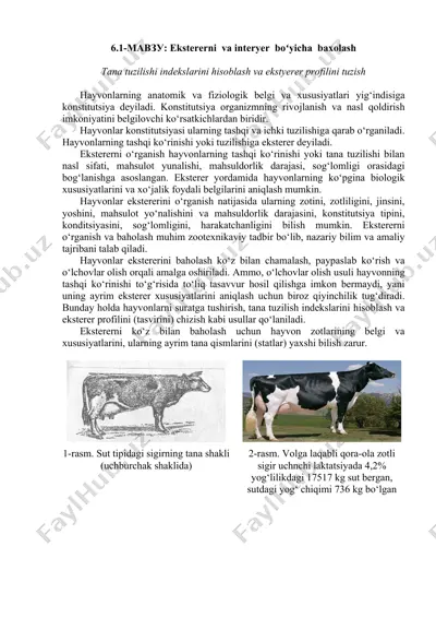 ekstererni va interyer bo'yicha baxolash — DOCX