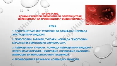 эритроцитлар, лейкоцитлар ва тромбоцитлар физиологияси — PPTX