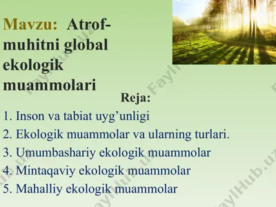 insоn vа tаbiаt uyg’unligi — PPTX