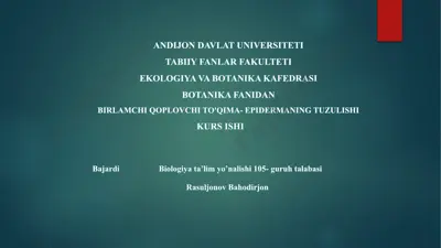 birlamchi qoplovchi to'qima- epidermaning tuzulishi — PPTX