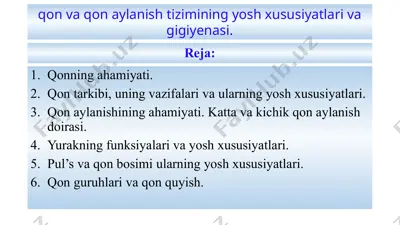 qon tizimining yosh xususiyatlari — PPTX