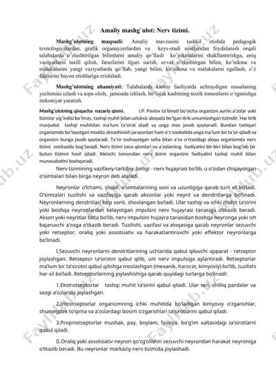 nerv tizimi mashg'uloti — DOCX