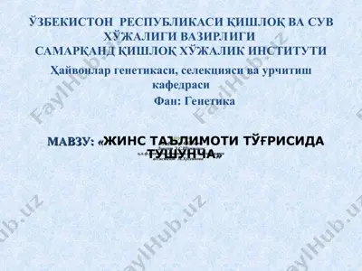 "жинс таълимоти тўғрисида тушунча" — PPT