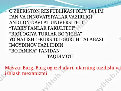 barg — PPTX