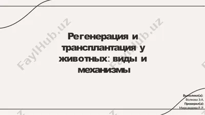 регенерация и трансплантация у животных: виды и механизмы — PPTX