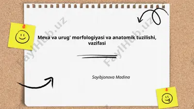 meva va urug' morfologiyasi va anatomik tuzilishi, vazifasi — PPTX