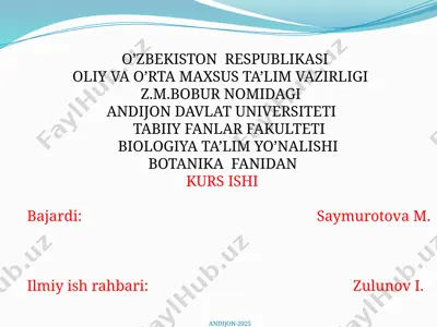 zig’irnamolar qabilasining umumiy tavsifi, kelib chiqishi va sistematikasi — PPTX