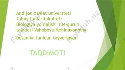 botqoqguldoshlar oilasi — PPTX