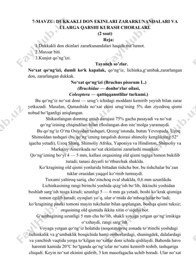 no‘xat qo‘ng‘izi (bruchus pisorum l.) — DOCX