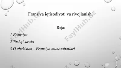 fransiyaiqtisodiyotivarivojlanishi — PPTX