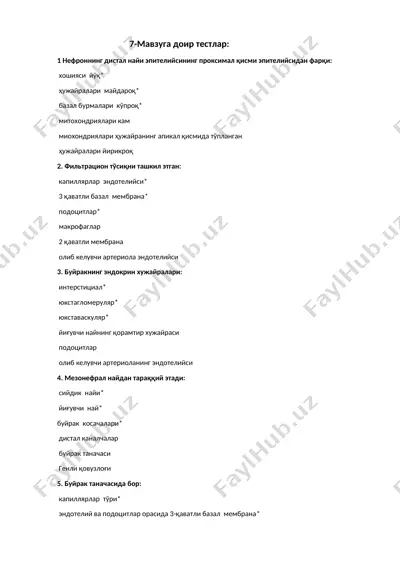 nefti testlar — DOCX