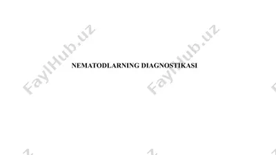 nematodlarning diagnostikasi — PPTX
