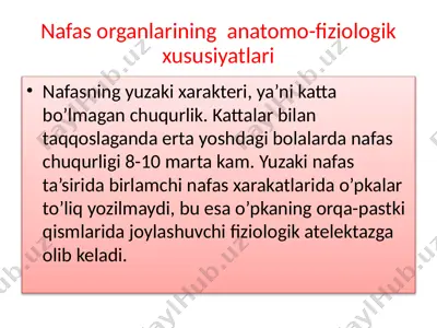 nafas organlarining anatomik-fiziologik xususiyatlari — PPTX