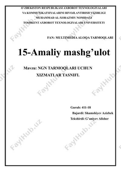 ngn tarmoqlari uchun xizmatlar tasnifi — DOC