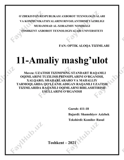 uzatish tizimining standart raqamli oqimlarini tuzilish prinsiplarini o‘rganish — DOCX