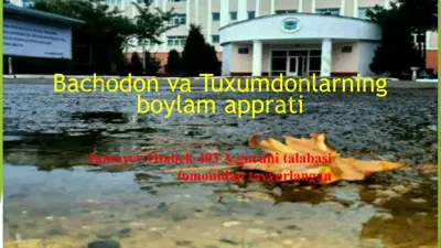 bachodon va tuxumdonlarning boylama prati — PPTX