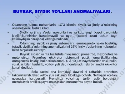 buyrak, siydik yo'llari anomaliyalari — PPTX