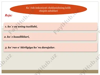 ko'z anatomiya va fiziologiyasi — PPTX