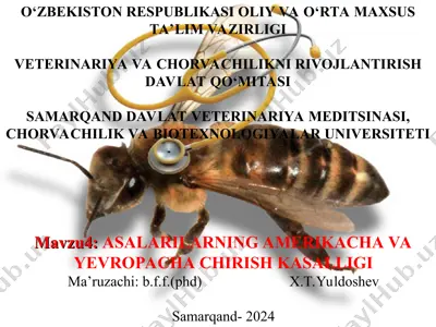 asalarilarning amerikacha chirish va yevropacha chirish kasalligi — PPT