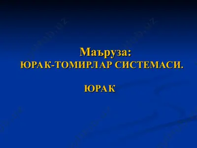 юрак-томирларсистемаси — PPT