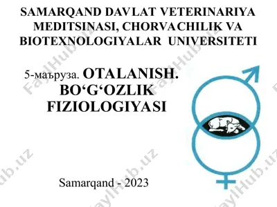 otalanish. bo‘g‘ozlik fiziоlоgiyasi — PPT
